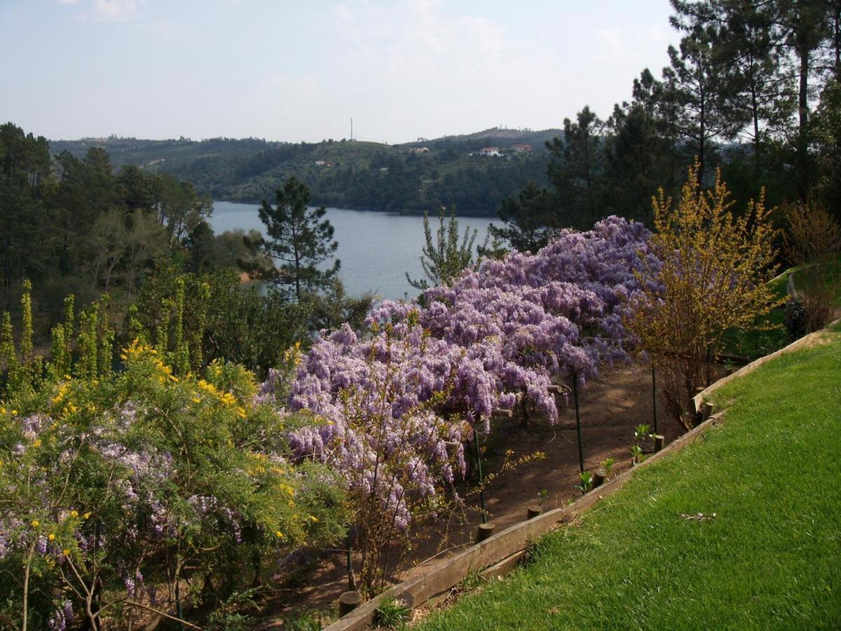 Quinta Do Troviscal Villa Castelo do Bode Luaran gambar