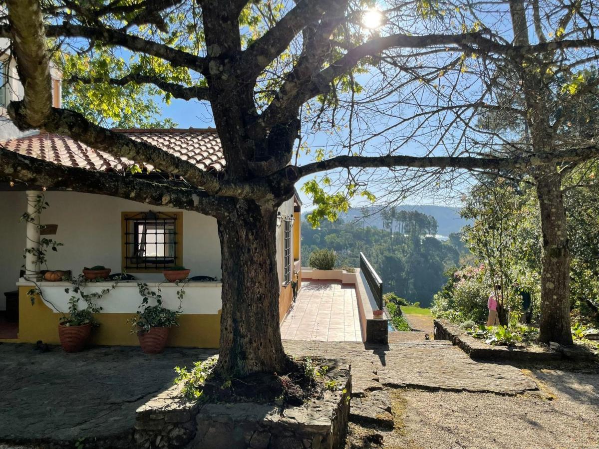 Quinta Do Troviscal Villa Castelo do Bode Luaran gambar