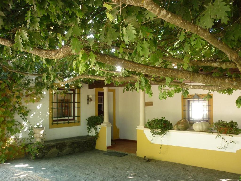 Quinta Do Troviscal Villa Castelo do Bode Luaran gambar